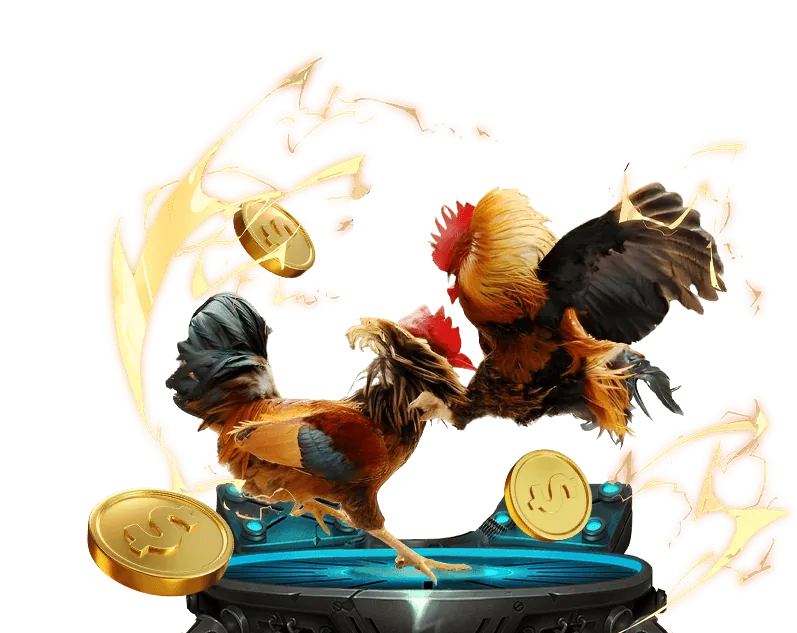 Tổng quan nền tảng boóng đá số với các tính năng chính